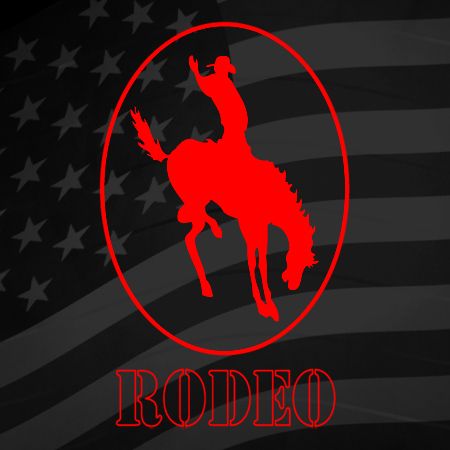 Rodeo Horse Iron on Decal